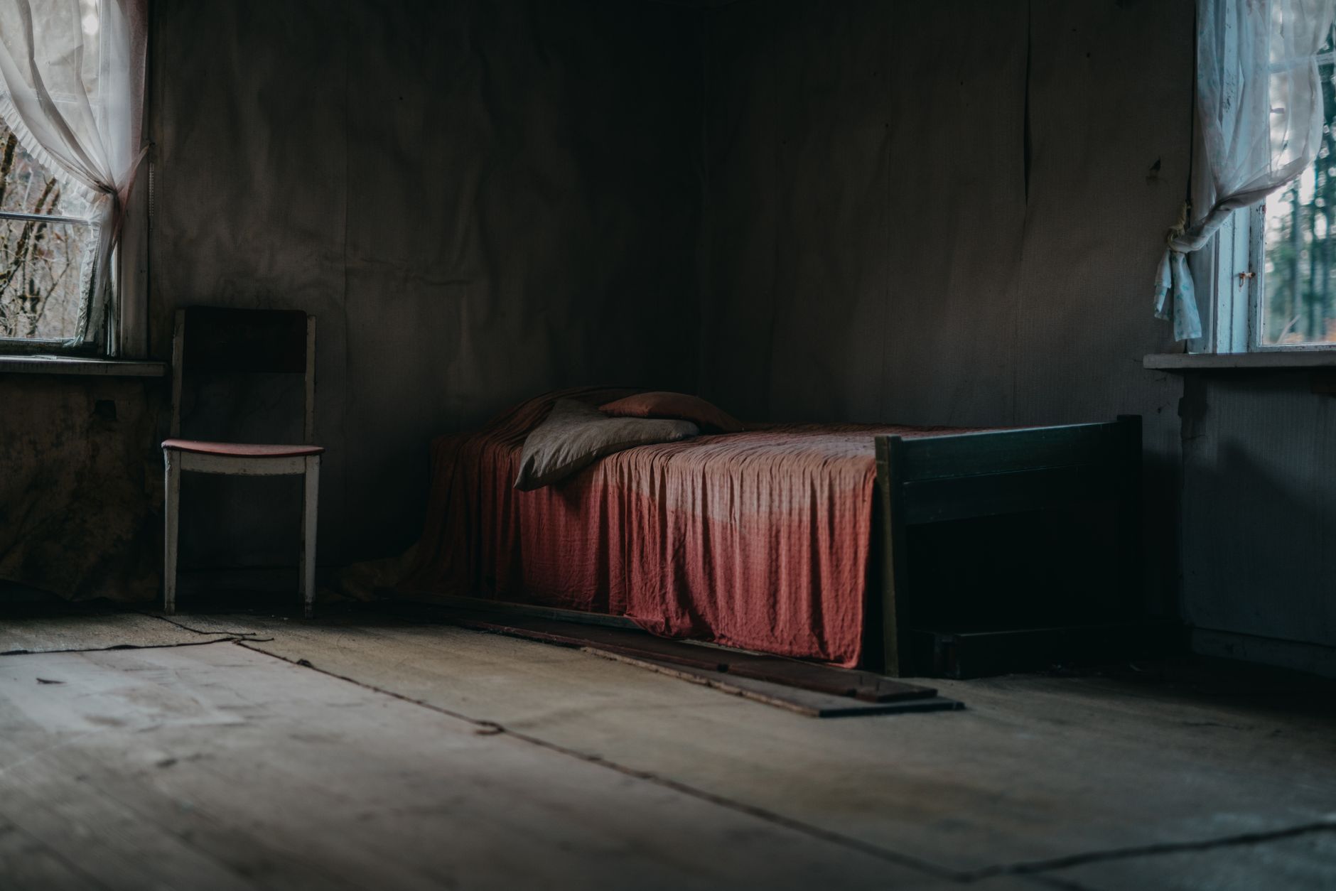 Traitement Punaises de Lit à Plaisir